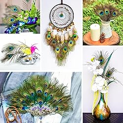 Piokio 10 pcs Natural Peacock Feathers in Bulk