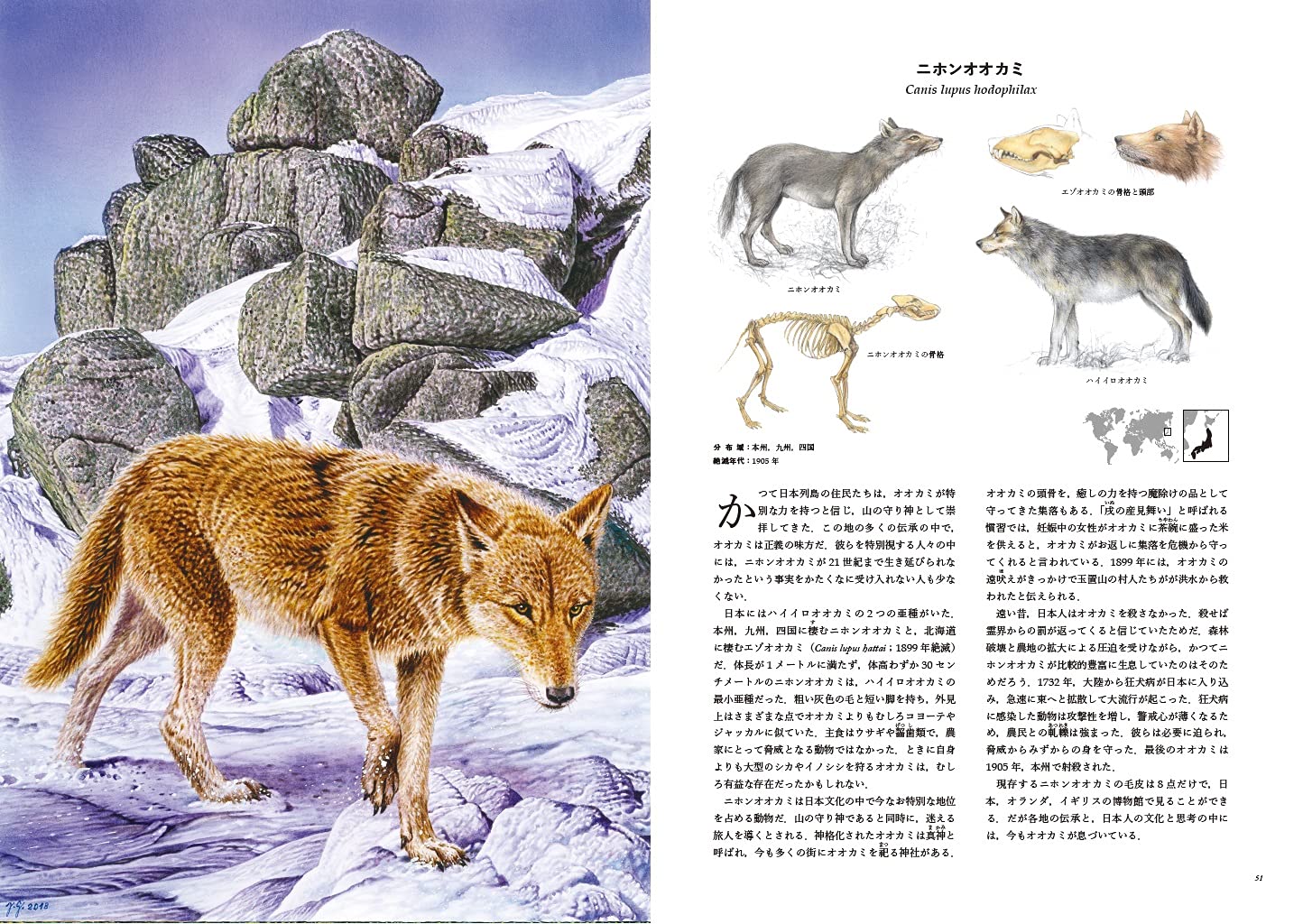 人類が滅ぼした動物の図鑑 的場 知之 長谷川 政美 Radek Maly Pavel Dvorsky Jiri Grbavcic 本 通販 Amazon