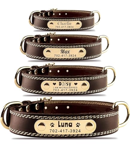 Amazon.com : Genuine Leather Dog Collar Green 7 Sizes (14