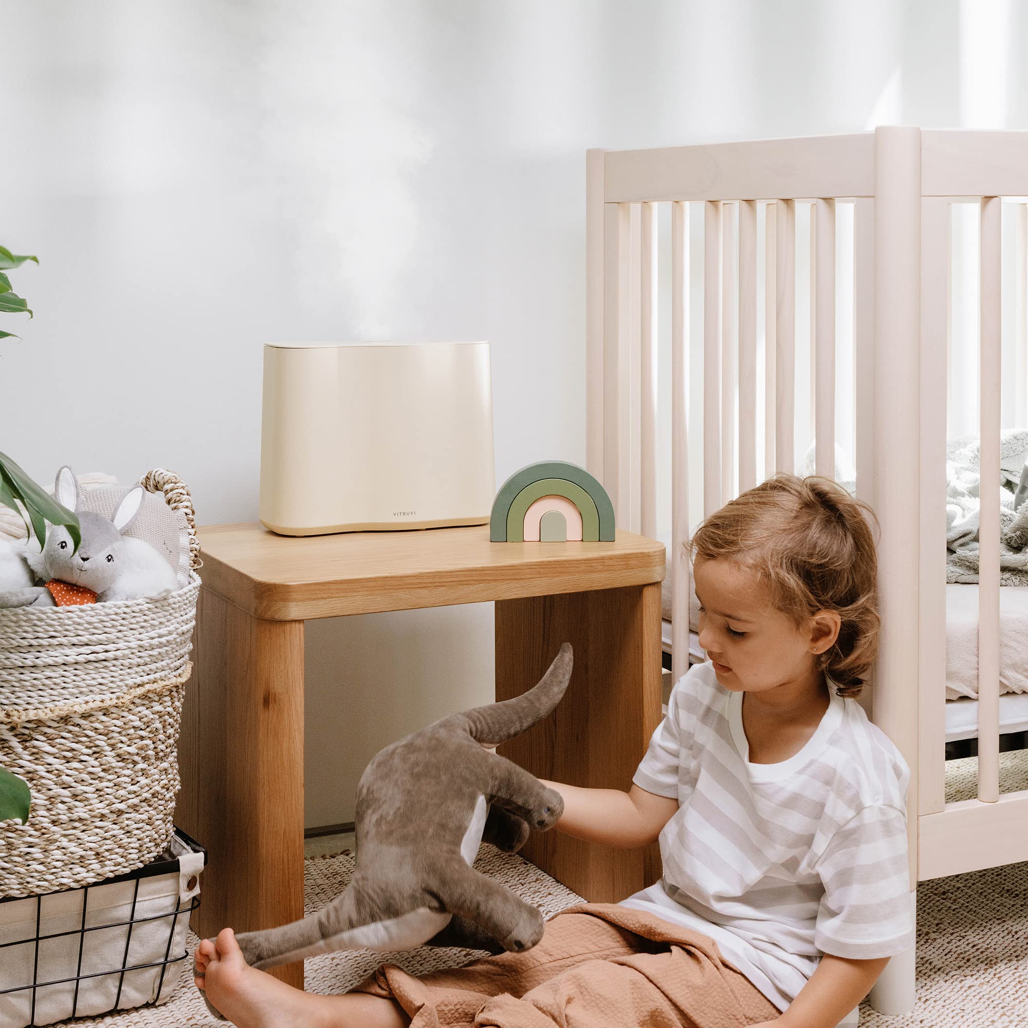 Cloud Humidifier