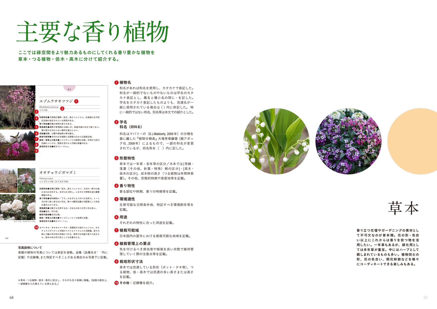 香り植物の緑化デザイン まちづくり 都市緑化 ガーデニング の手引き Amazon Com Books