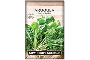 Sow Right Seeds - Arugula Seeds for Planting - Non-GMO Heirloom Seeds with Instructions to Plant a Home Vegetable Garden - Indoors, Hydroponics or Outdoors - Salad Greens - Grow Kitchen Herbs (1)