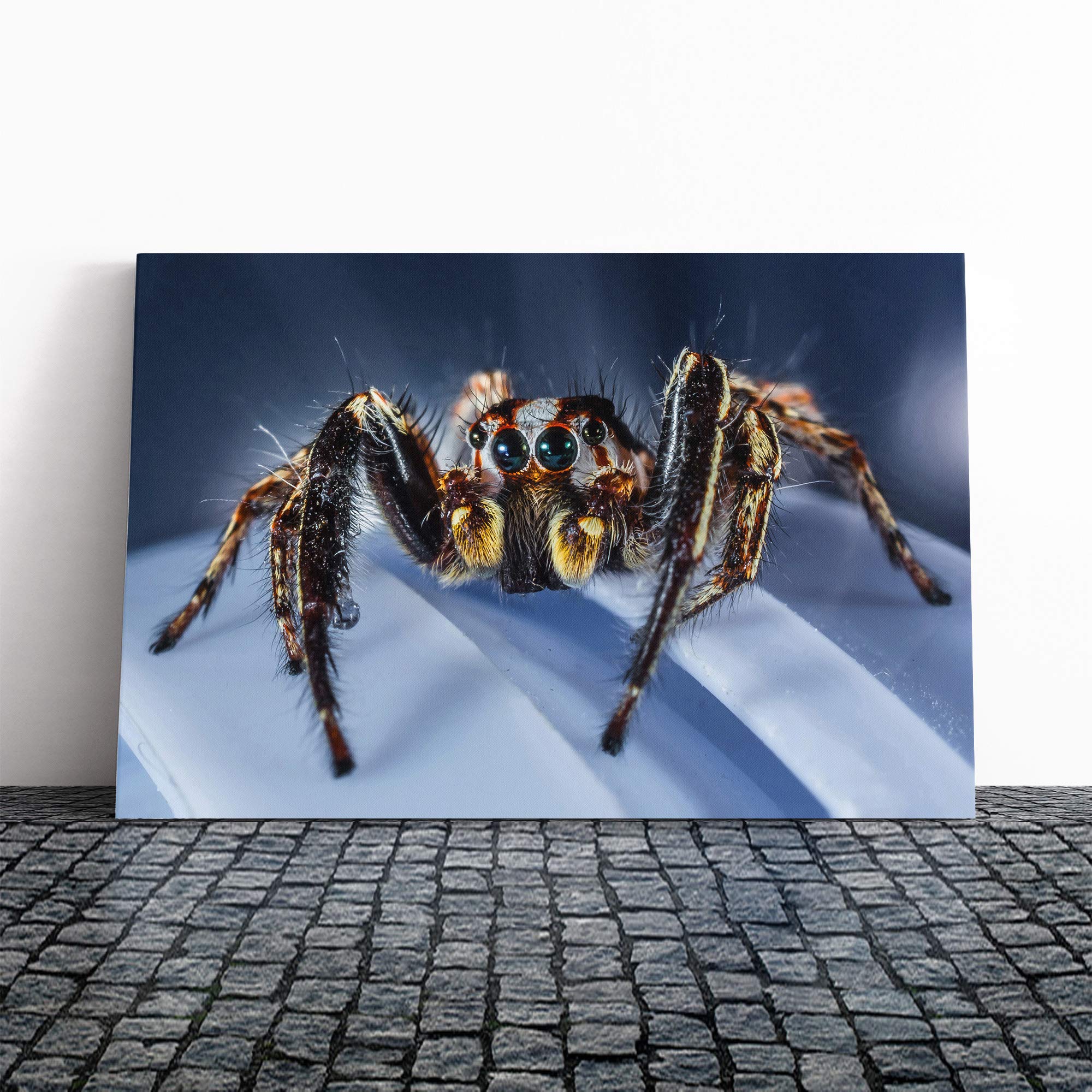 Jumping Spider (2) Canvas Print | Gallery Wrapped 30mm Frame Wall Art | 20x14 inches | Ready to Hang | Modern Animal Picture | Living Room Bedroom Lounge Office