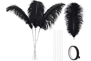 Ballinger Black Ostrich Feathers Bulk - Making Kit 10Pcs 28inch Large Ostrich Feathers for Floral Arrangement, Vase, Wedding Party Centerpieces and Halloween Home Decor