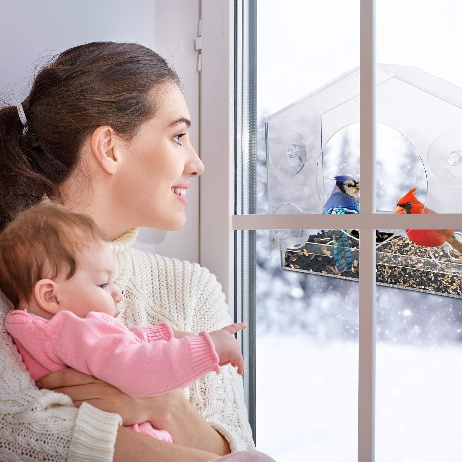 Wild Birds of Joy Bird House Window Bird Feeder with 4 Super Strong Suction Cups & Locking, Sliding Seed Tray, Extra Large, Clear Acrylic, Outdoor Bird Feeders, Outside View of Cardinal and Blue Jay : Garden & Outdoor