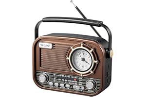 Gelielim Portable Clock Radio AM FM SW, Bluetooth Speaker with USB/TF Card, High Sensitivity DSP Radio, Loud Speaker, Recharg