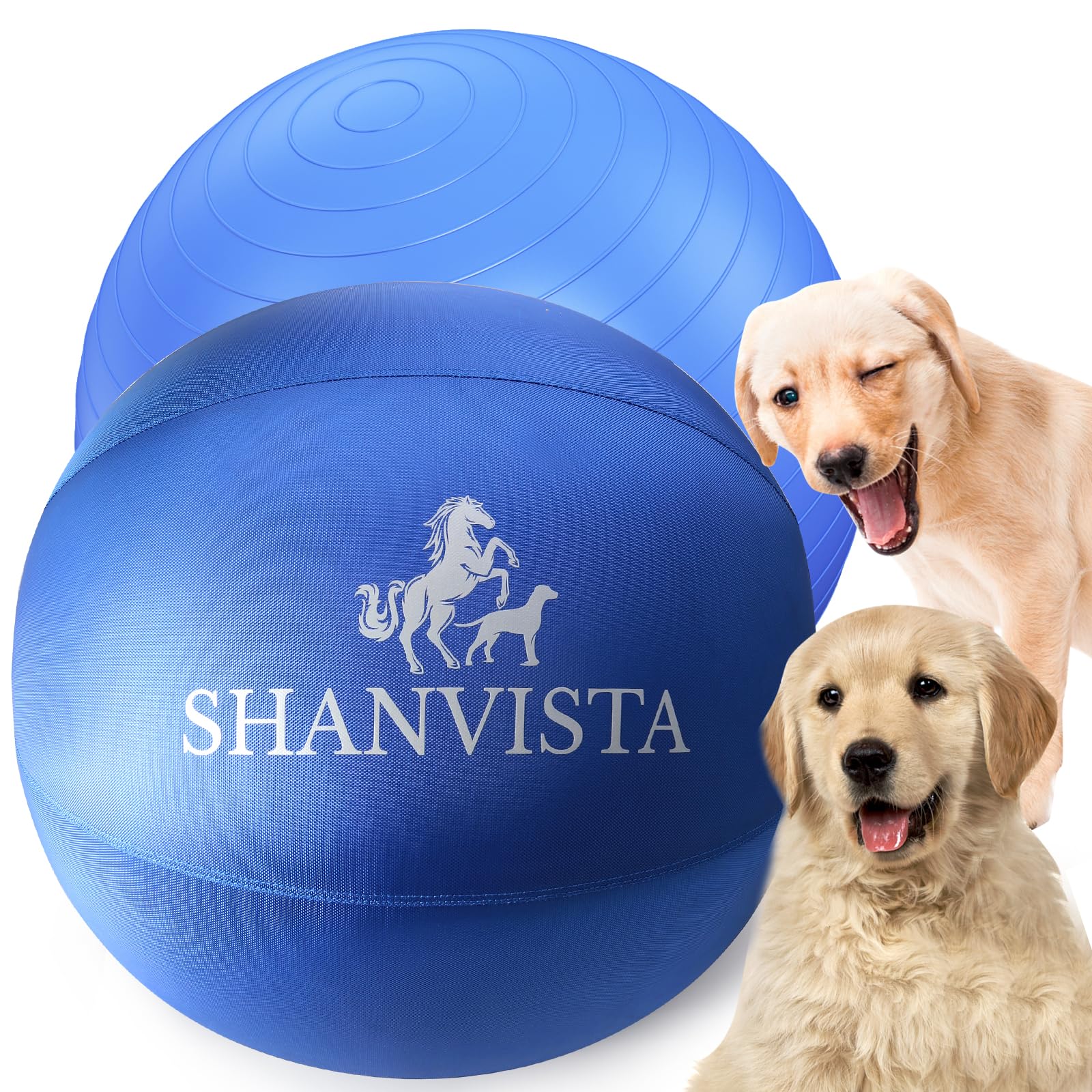 Photo 1 of Herding Ball for Dogs 18" - Heavy Duty Herding Ball for Australian Shepherds & Border Collies - Durable Training Toy for Small/Medium Breeds - Outdoor & Backyard Play (Blue)