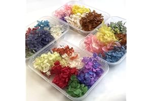 L'BREVOGA Dried Flower for Craft, Preserved Flower Hydrangea Set, 4 to 5 Random Colors, 100% Natural Flowers for Candle Resin
