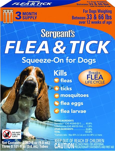 what to feed your dog for constipation