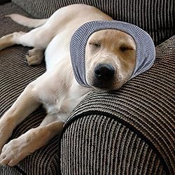 Quiet Ears for Dogs, Rbenxia 1 Piece Dog Ear Cover