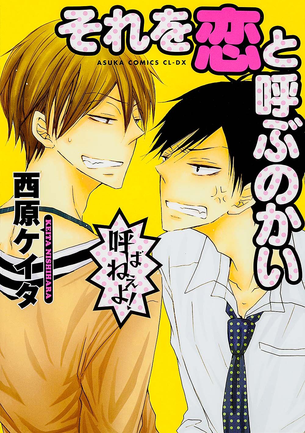 それを恋と呼ぶのかい あすかコミックスcl Dx 西原 ケイタ 本 通販 Amazon
