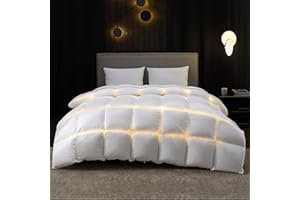 Bedsure Goose Feather Down Comforter Queen Size - Extra Fluffy Duvet Insert with 8 Corner Tabs for Winter, 100% Cotton Fabric, Machine Washable (90x90, 63 Oz)