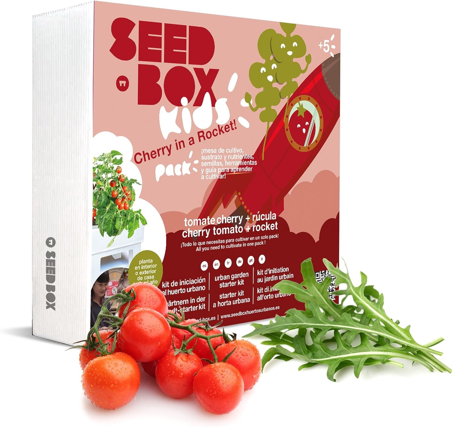 SeedBox SBKCR - Huerto Urbano de Tomates Cherry y rúcula (Kids ...