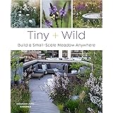 Tiny and Wild: Build a Small-Scale Meadow Anywhere
