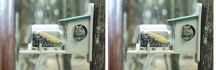 Amazon Com Birds Choice Squirrel Jar Feeder Pack Of 2 Garden
