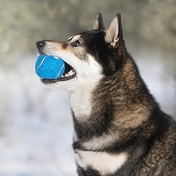 Best Pet Supplies Interactive Squeaky Dog Chew