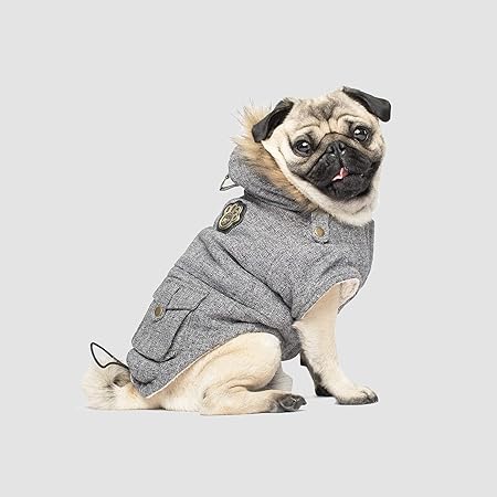 canada pooch winter coats