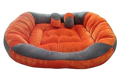 orange cat bed