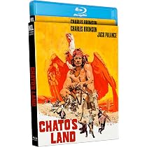 Hard Times'', with Charles Bronson, 1975 by Retro Movie Art