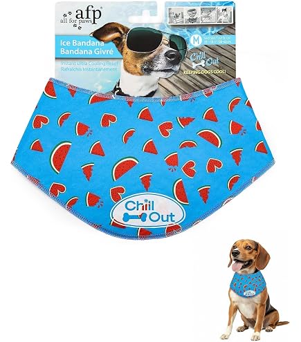 Amazon.com : ALL FOR PAWS Dog Cooling Bandana, Cooling Bandanas