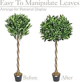 Christow Large 4ft Bay Tree In Pot Twin Pack Indoor Outdoor Topiary view 5