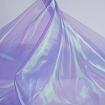 81iOyFSSmSL._AC_UL210_SR210,