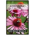 Sow Right Seeds - Purple Coneflower/Echinacea Flower Seeds for Planting - Non-GMO Heirloom - Plant for an Herbal Tea Garden - Attract Pollinators - Great Cut and Come Back Flower (1)