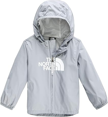the north face d