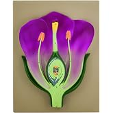 EISCO Typical Flower Model, Three Dimensional, Vertical Section with Hand Painted Details - Mounted on Base, 14" x 9"