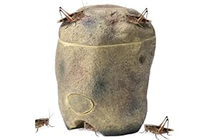 Navaris Reptile Cricket Feeding Rock - Realistic Polyresin Terrarium Stone Feeder for Reptiles with Hole for Crickets to Come Out - with Magnetic Lid and Window