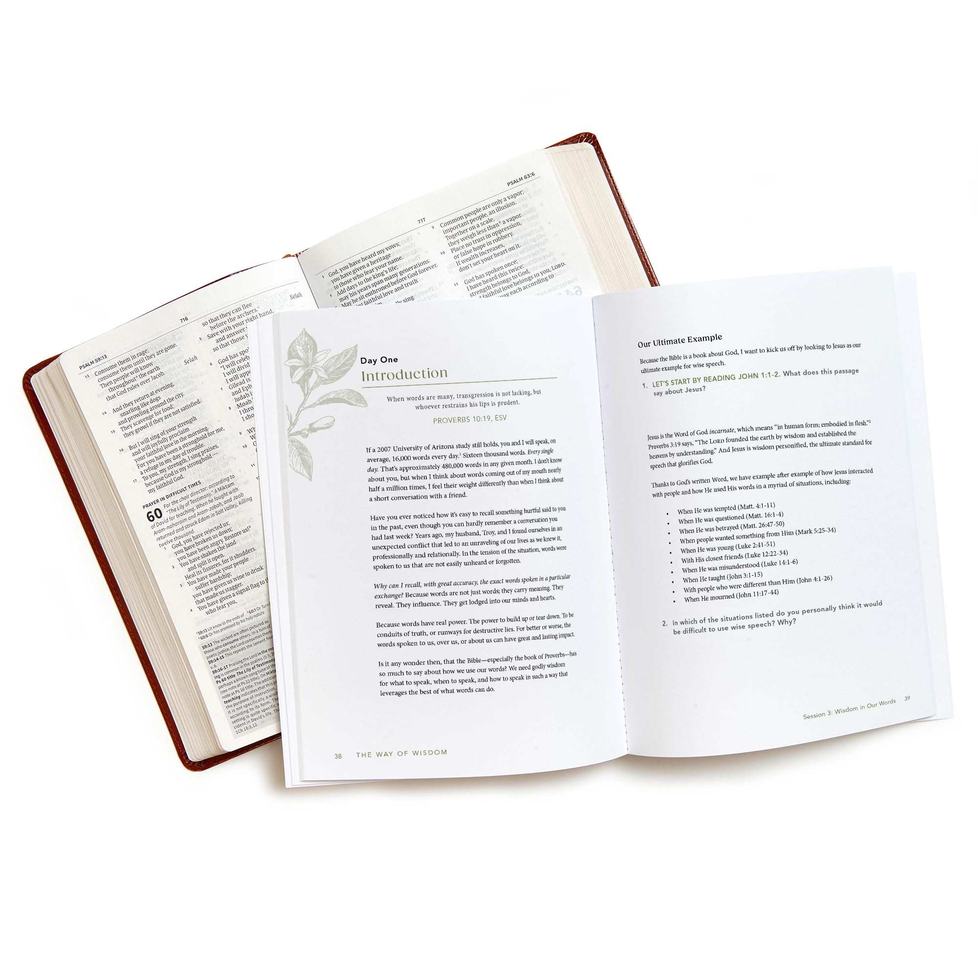 The Way of Wisdom - Bible Study for Women with Video Access: A Study of the Book of Proverbs The Way of Wisdom - Bible Study for Women with Video Access: A Study of the Book of Proverbs Paperback