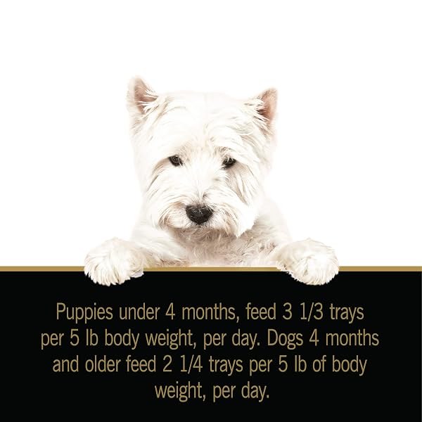 CESAR PET FOOD SELECT FOR PUPPIES, 3.5 OZ