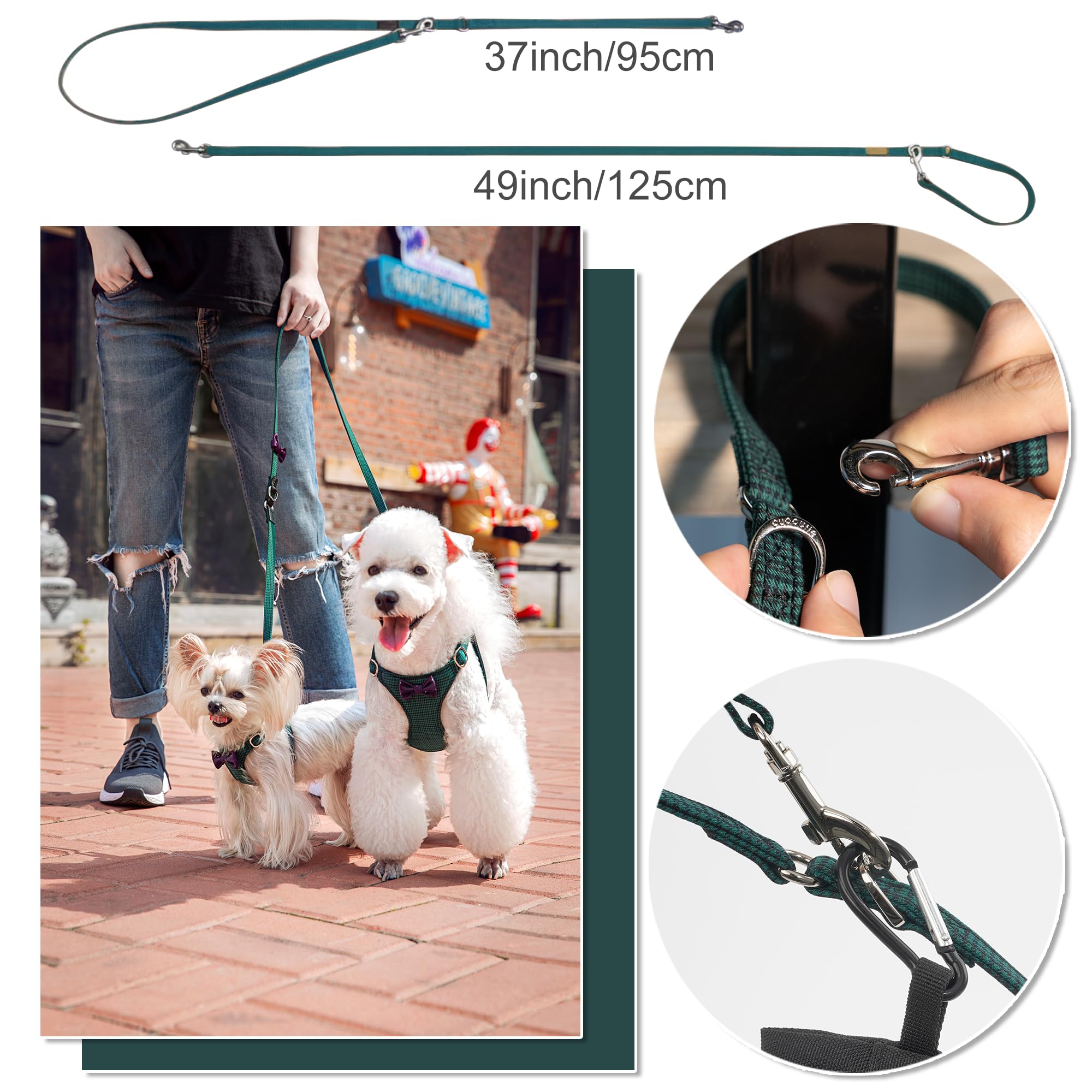View 4