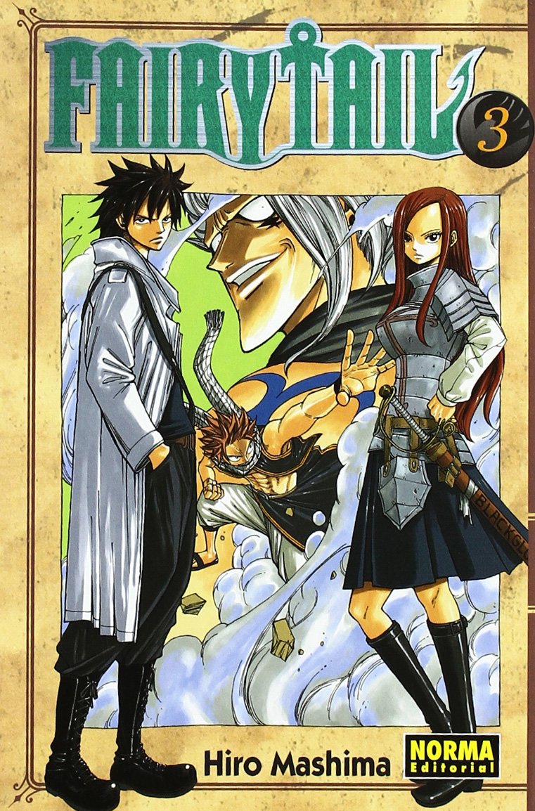 Norma Editorial FAIRY TAIL 03 (CÓMIC MANGA)