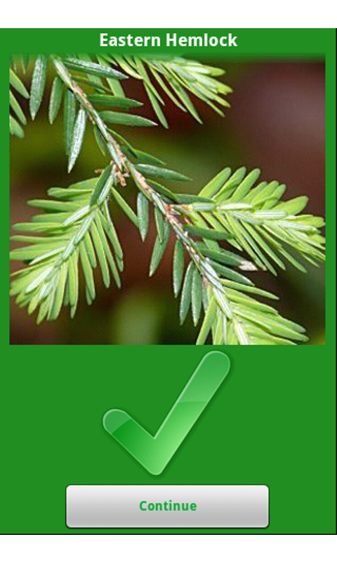 North American Trees!