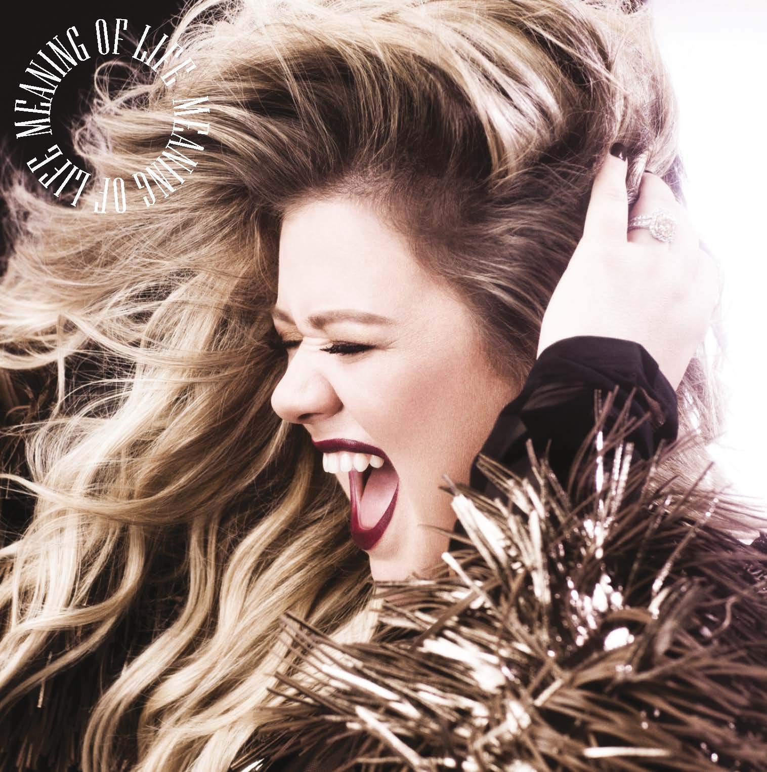 Meaning Of Life Kelly Clarkson 0075678659843 Amazon Com Books