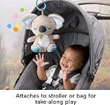 Fisher-Price On-the-Go Koala Soother Plush Toy Music White Noise 0+ Months view 5