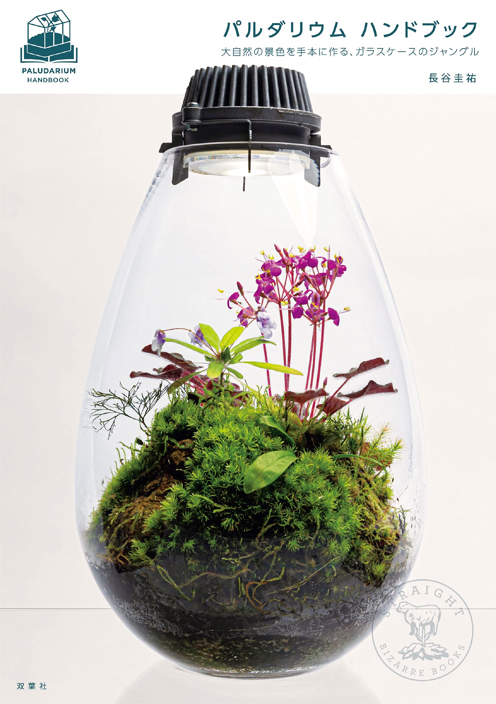 パルダリウム ハンドブック 大自然の景色を手本に作る ガラスケースのジャングル 長谷 圭祐 Straight 本 通販 Amazon