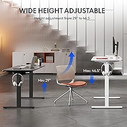 FLEXISPOT Standing Desk Electric Height Adjustable