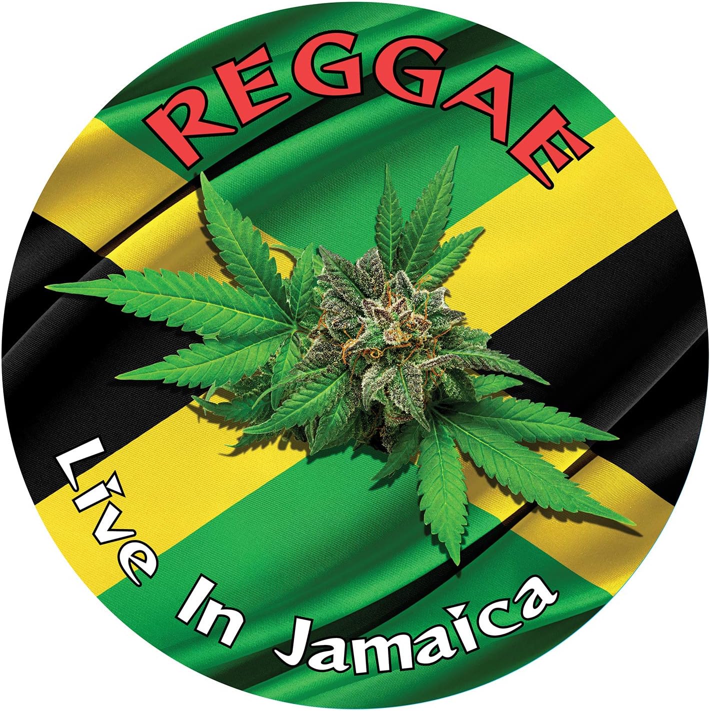 Slipmats Vinyle Dub Culture Reggae - Pour Platines 30.5cm, Style Jamaica Rasta