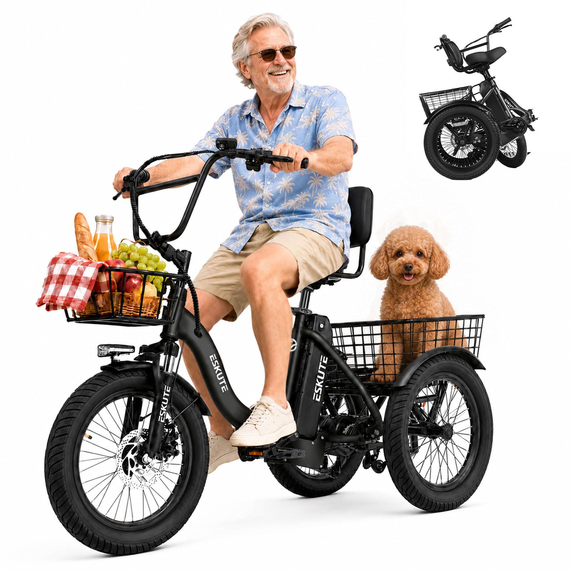 Elecby T300 Adults Electric Trike