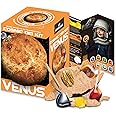 Cosmic Dig Kit by Big Discoveries - Explore The Planets of The Solar System with Gem & Fossil Excavation Kits for Kids | STEM Toy Science Dig Kits with Gemstones for Boys and Girls