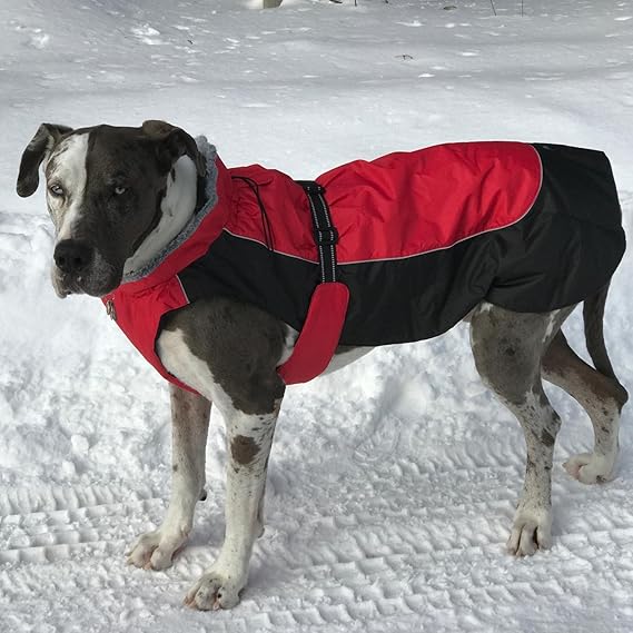 Amazon.com : DOGGIE DESIGN Alpine All-Weather Dog Coat - Red and Black (4XL) : Pet Supplies