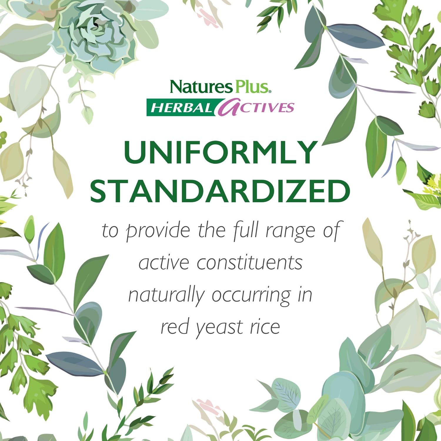 NaturesPlus Herbal Actives Red Yeast Rice 600mg & CoQ10 100mg, Extended Release - 30 Vegan Tablets - Maximum Potency Supplement, Antioxidant - Vegetarian, Gluten-Free - 30 Servings: Health & Personal Care