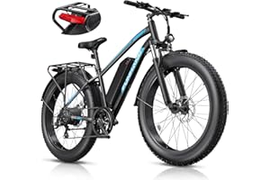 Funhang Electric Bike for Adults, 1000W Peak Ebike, 25MPH 60Miles Electric Mountain Bike, 26" Fat Tire Electric Bicycle with 48V 13AH Battery, Rear Rack, Turn Signal, Lockable Suspension Fork,7 Speed