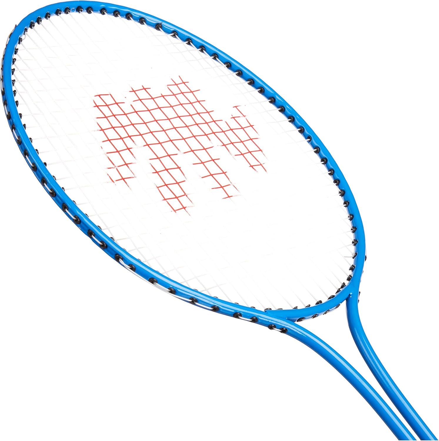 BSN Badminton Racquet (Prism Pack): Sports & Outdoors