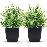 ZJIA 2 Pack Small Fake Plants Black Bathroom Accessories for Home Decor | Black modern accents for office desk, shelf, bedroom and kitchen decor, faux greenery adds a clean look without watering