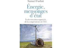 Energie, mensonges d'état: La destruction organisée de la compétitivité de l'UE (French Edition)