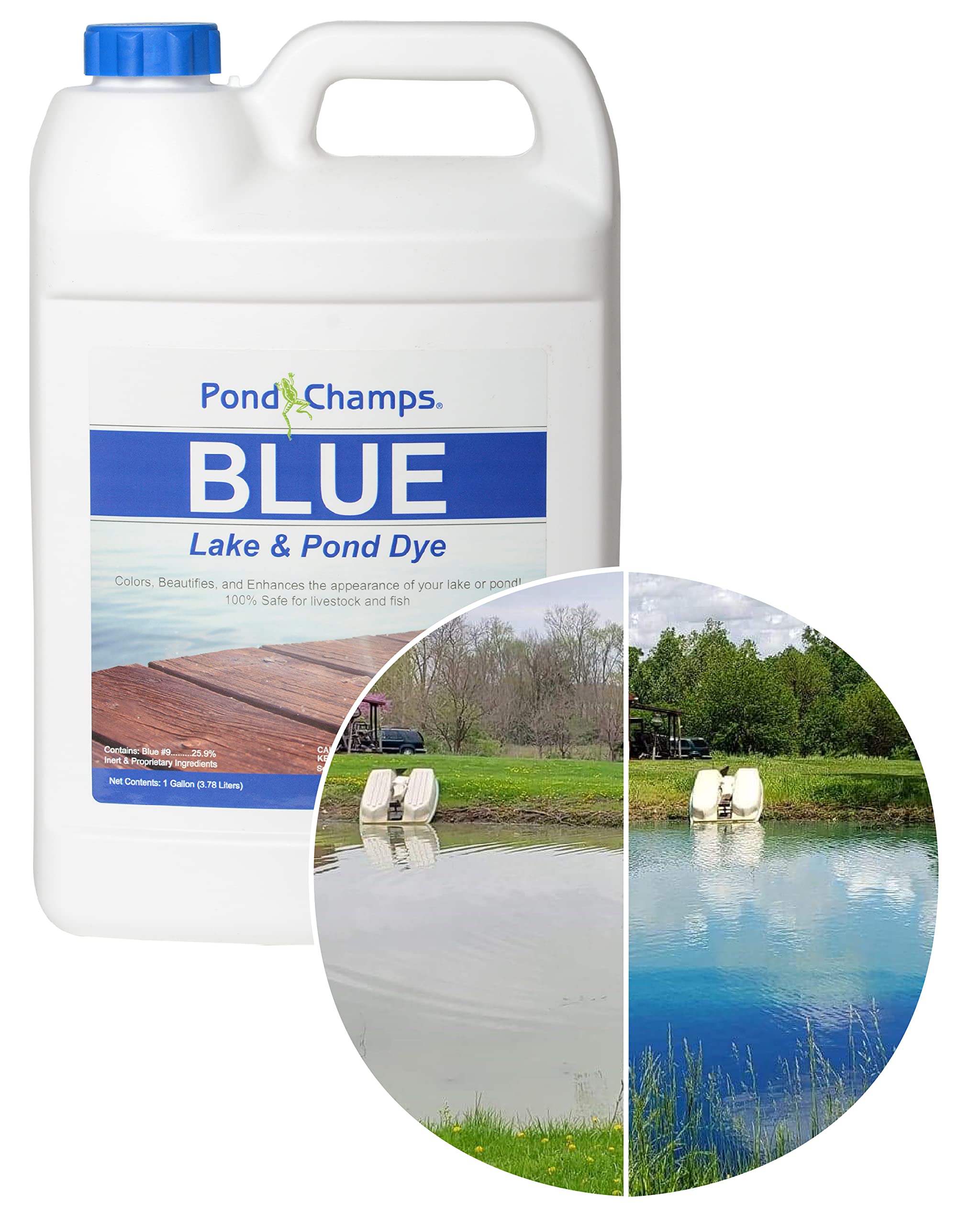 Pond Champs Lake and Pond Dye - Blue 1 Gallon
