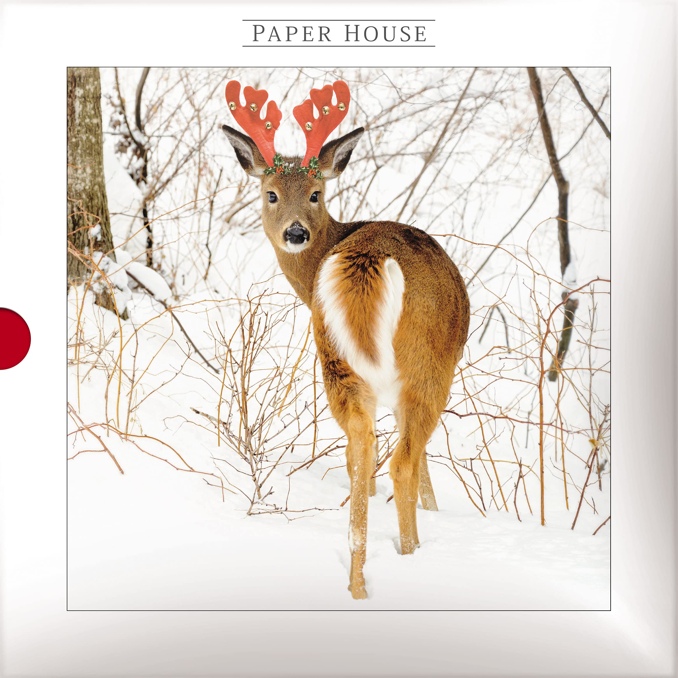 Paper House Box of 16 Photographic Christmas Cards - Deer and Winter Fox - from the Darkroom Range - 16 Cards, 8 Each of 2 Designs